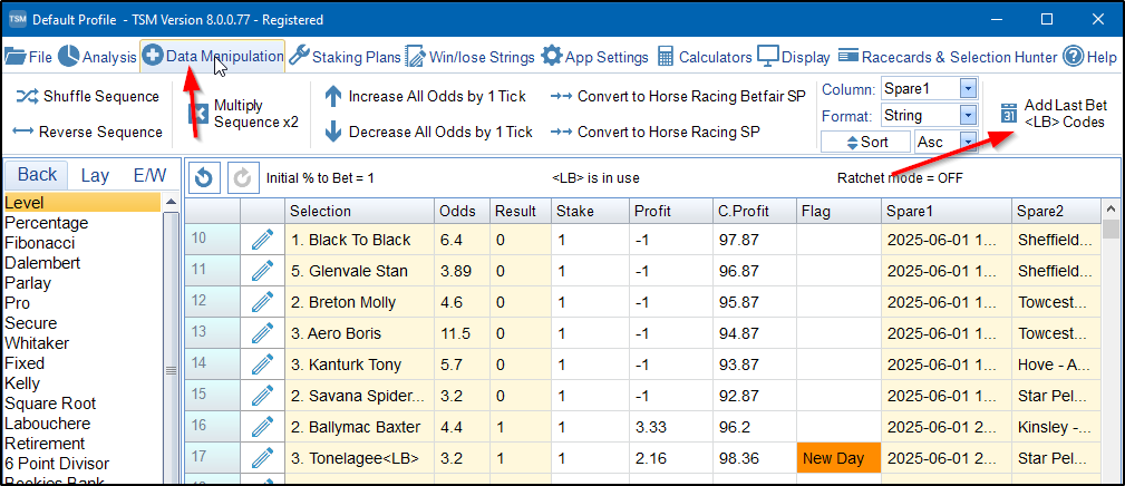 LastBetScreenshot4