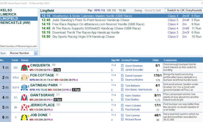TSM V8 Racecard Example